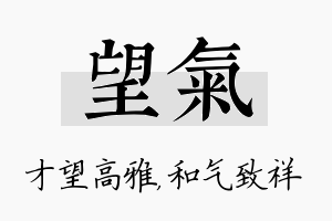 望气名字的寓意及含义