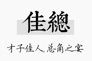 佳总名字的寓意及含义