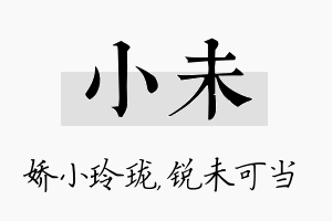 小未名字的寓意及含义