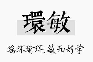 环敏名字的寓意及含义