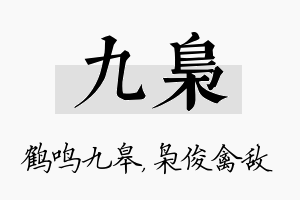 九枭名字的寓意及含义