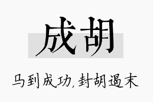 成胡名字的寓意及含义