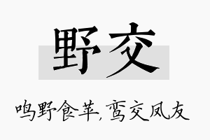 野交名字的寓意及含义