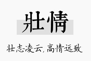 壮情名字的寓意及含义