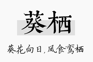 葵栖名字的寓意及含义