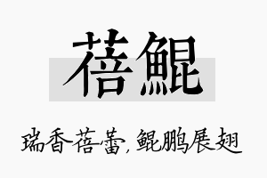 蓓鲲名字的寓意及含义