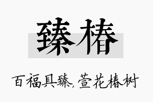 臻椿名字的寓意及含义