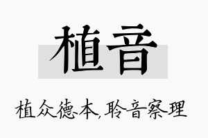 植音名字的寓意及含义