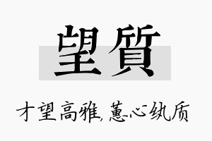 望质名字的寓意及含义