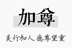 加尊名字的寓意及含义