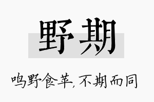 野期名字的寓意及含义