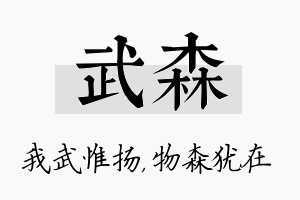 武森名字的寓意及含义