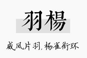 羽杨名字的寓意及含义