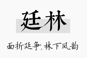 廷林名字的寓意及含义