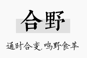 合野名字的寓意及含义