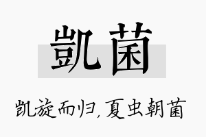 凯菌名字的寓意及含义