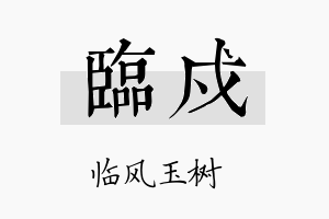 临戍名字的寓意及含义