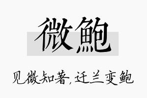 微鲍名字的寓意及含义