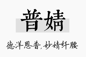 普婧名字的寓意及含义