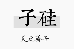 子硅名字的寓意及含义