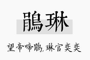 鹃琳名字的寓意及含义