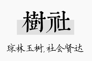 树社名字的寓意及含义