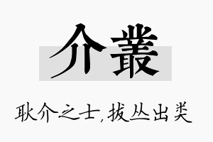 介丛名字的寓意及含义