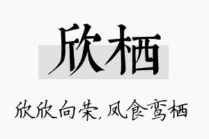 欣栖名字的寓意及含义