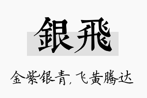 银飞名字的寓意及含义