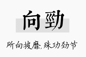 向劲名字的寓意及含义