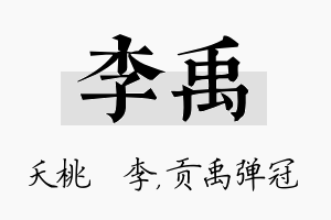 李禹名字的寓意及含义