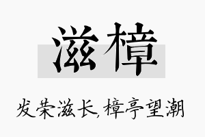 滋樟名字的寓意及含义