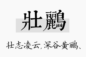 壮鹂名字的寓意及含义