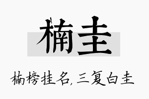 楠圭名字的寓意及含义