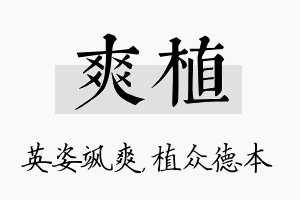 爽植名字的寓意及含义