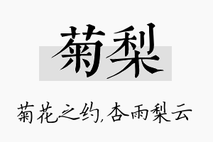 菊梨名字的寓意及含义