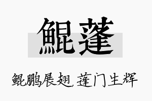 鲲蓬名字的寓意及含义