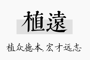 植远名字的寓意及含义