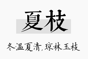 夏枝名字的寓意及含义