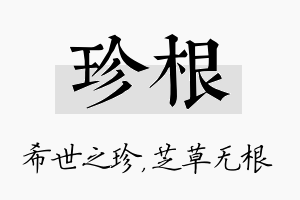 珍根名字的寓意及含义