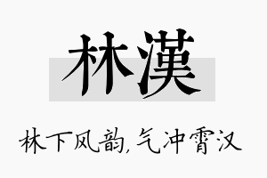 林汉名字的寓意及含义