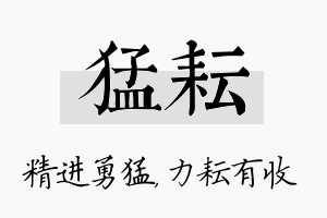 猛耘名字的寓意及含义