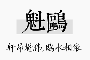 魁鸥名字的寓意及含义