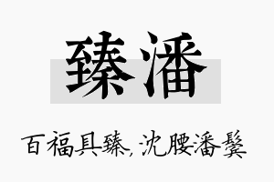 臻潘名字的寓意及含义