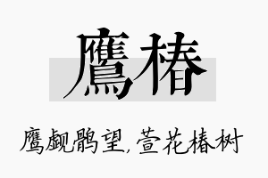 鹰椿名字的寓意及含义