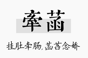 牵菡名字的寓意及含义