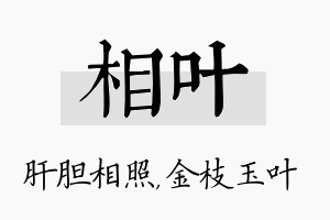 相叶名字的寓意及含义