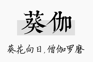 葵伽名字的寓意及含义