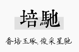 培驰名字的寓意及含义