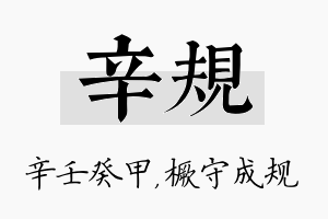 辛规名字的寓意及含义